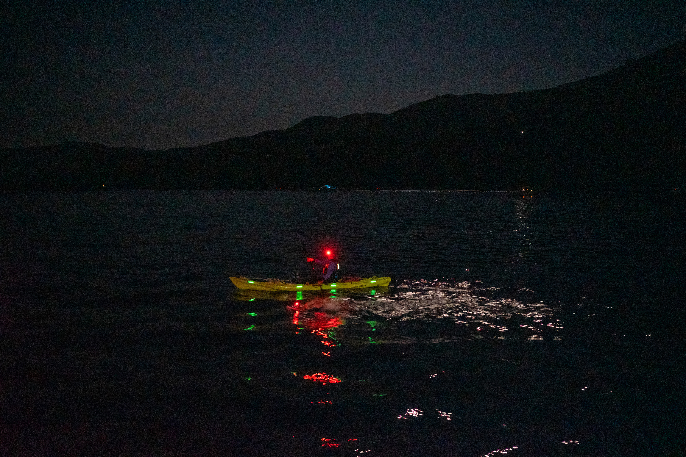 figs/night-swim.jpeg
